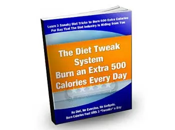The Diet Tweak System