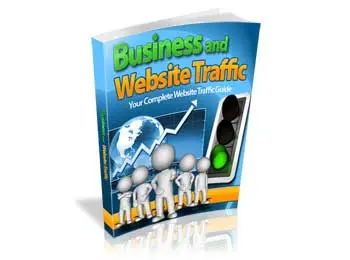 Business And Website Traffic