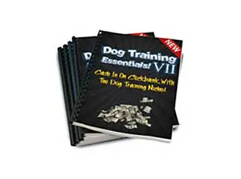 Dog Training Essentials V2
