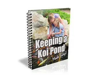 Keeping A Koi Pond
