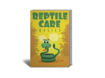 Reptile Care Basics