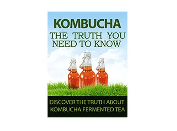 Kombucha The Truth You Need To Know