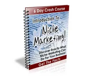 Introduction To Niche Marketing