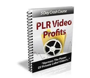 PLR Video Profits
